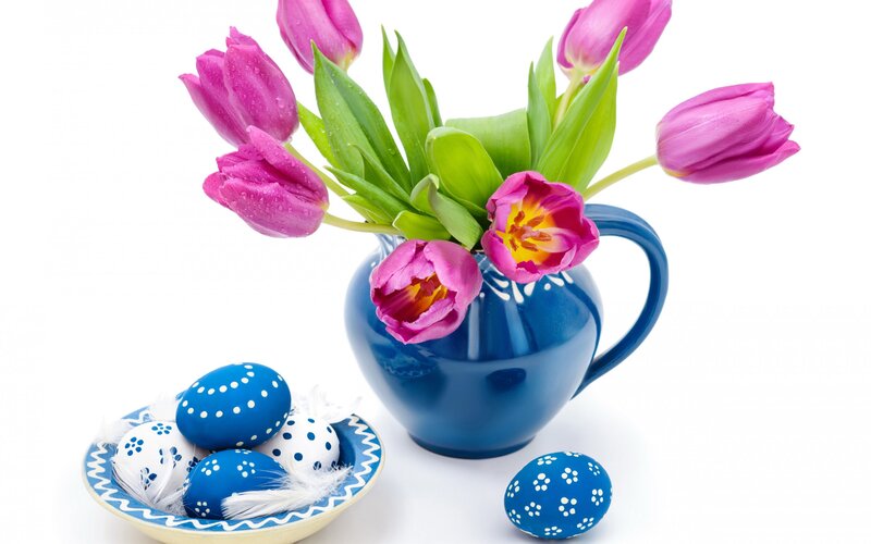 Blue Eggs and Tulips