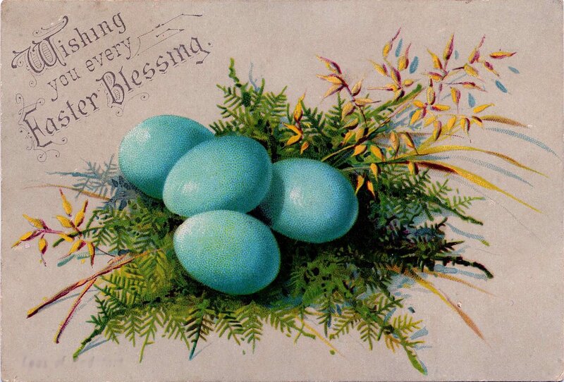 Blue Eggs in Nest — Green