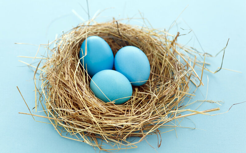 Blue Eggs in Nest — Serene