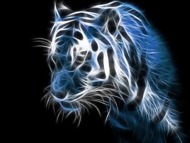 Blue Electric Tiger