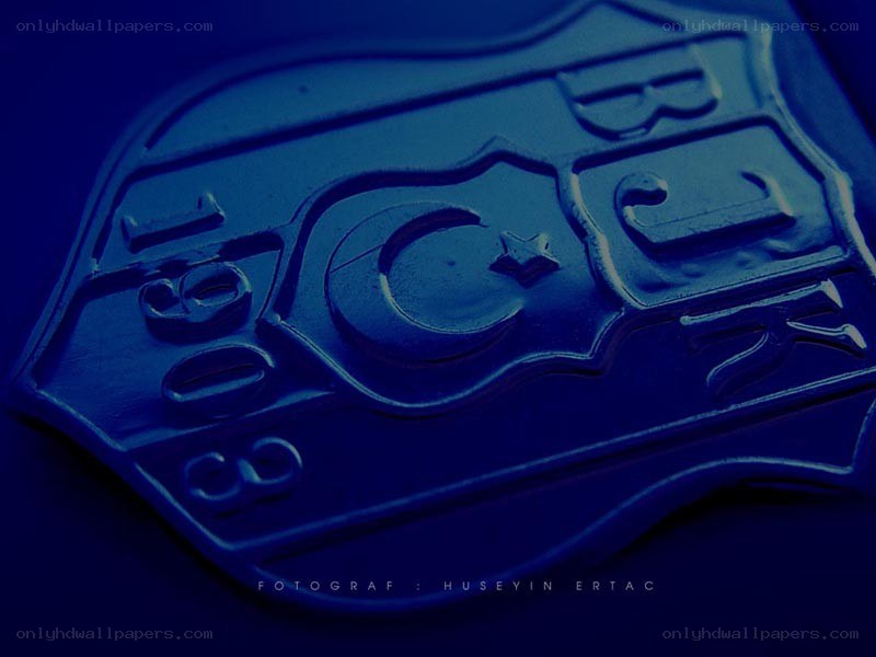 blue emblem with crescent and star