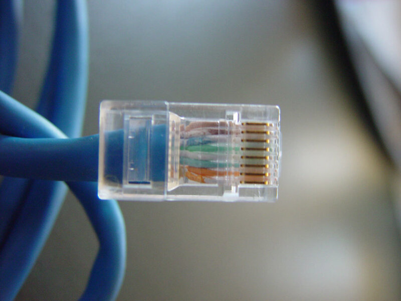 blue ethernet cable connector