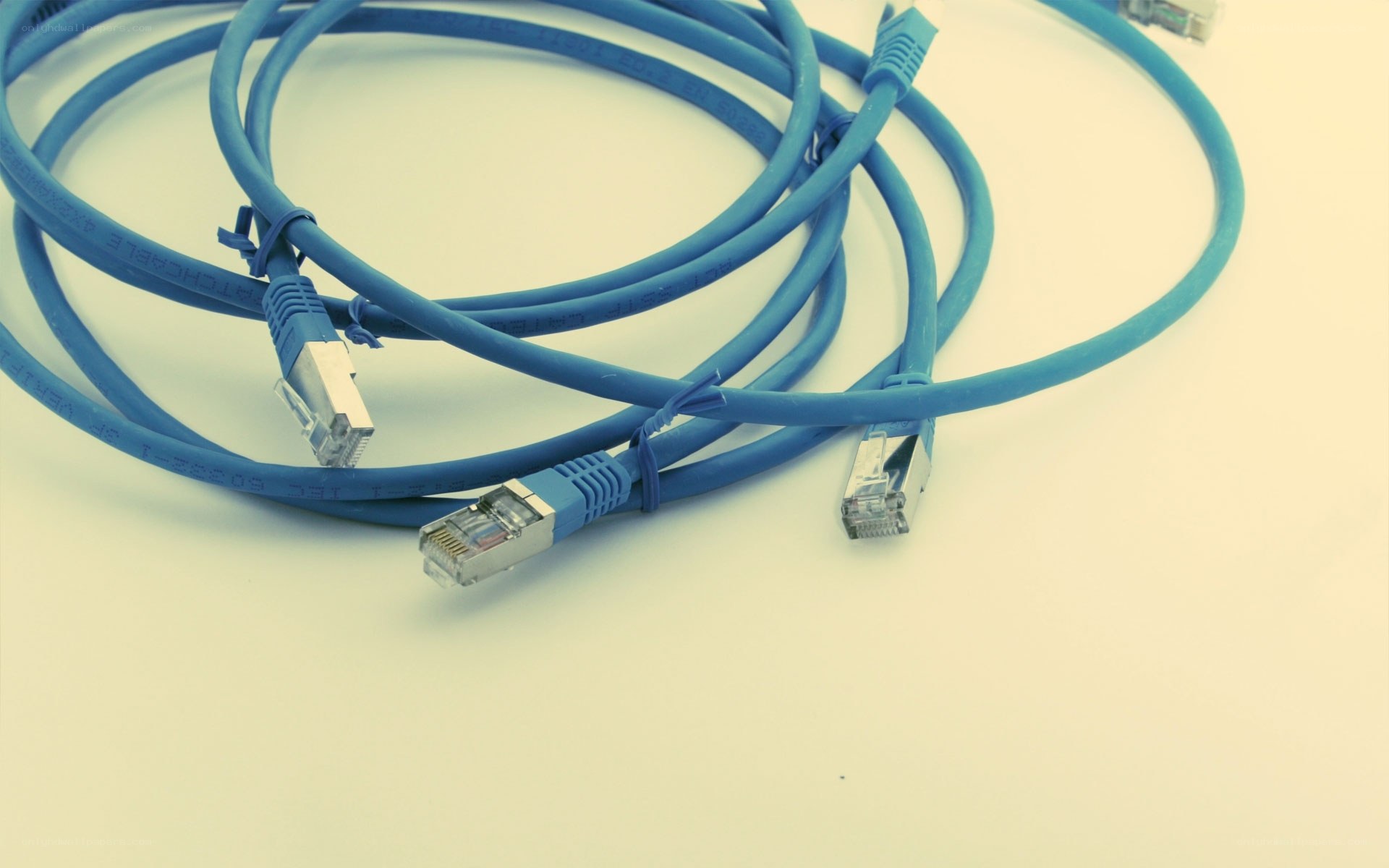 Blue Ethernet cables coiled