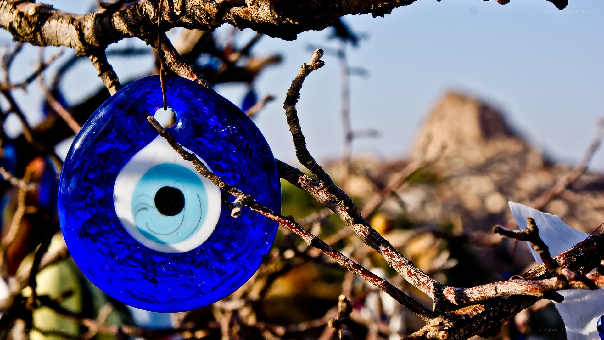 Blue evil eye amulet on tree
