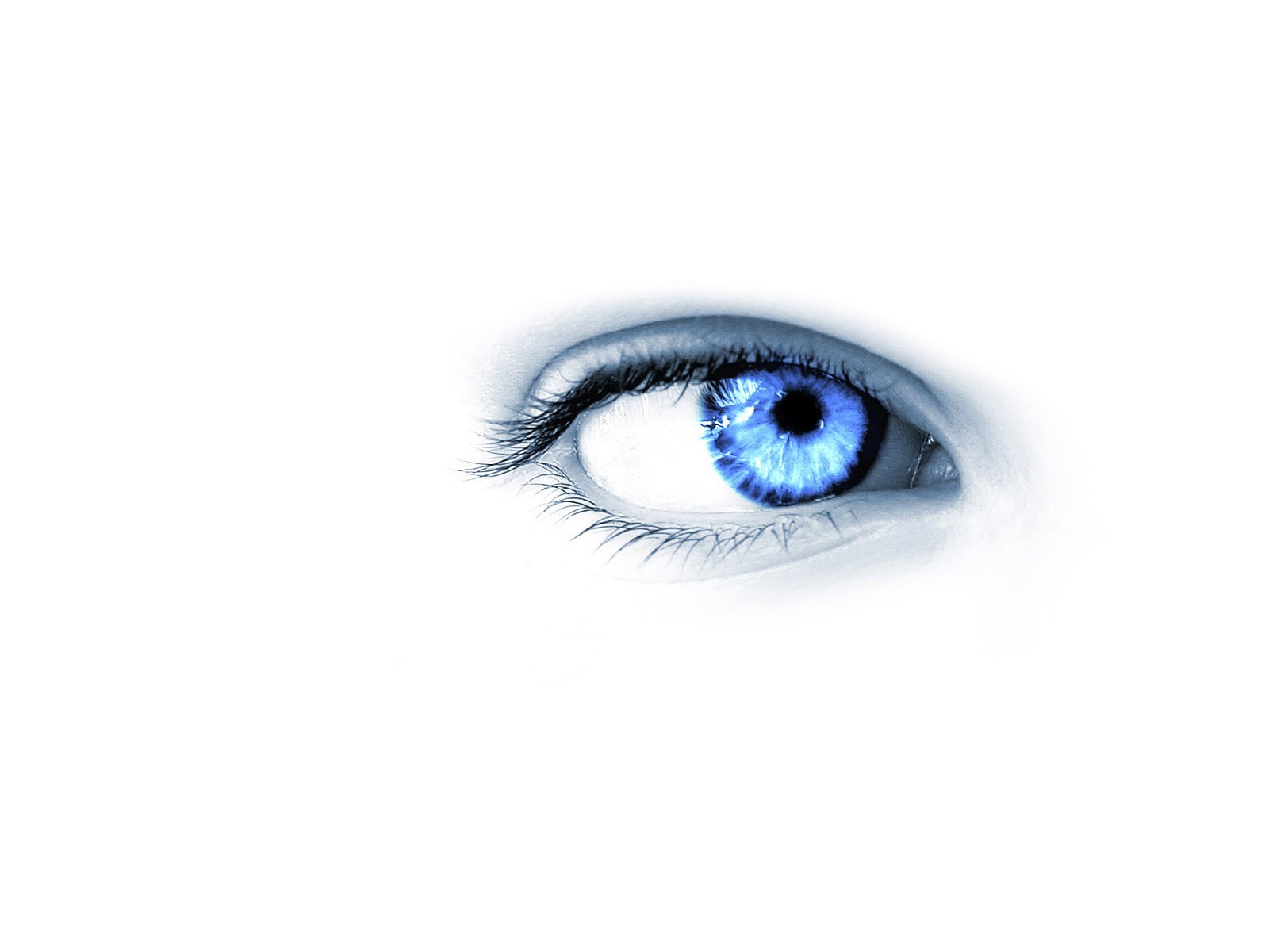 blue eye close-up