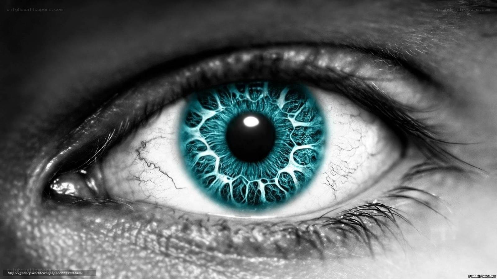blue eye close-up