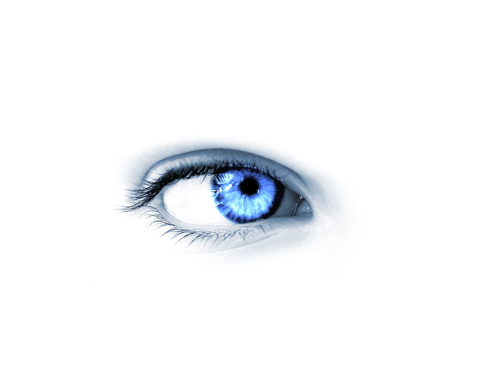 blue eye close-up