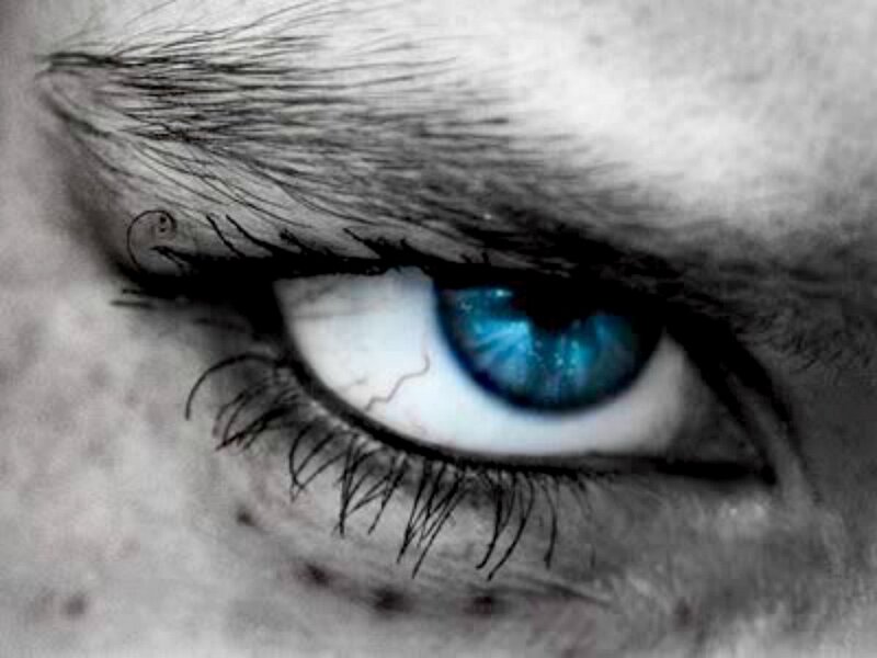 Blue Eye Close-up — Dramatic, Photograph, Eyebrow