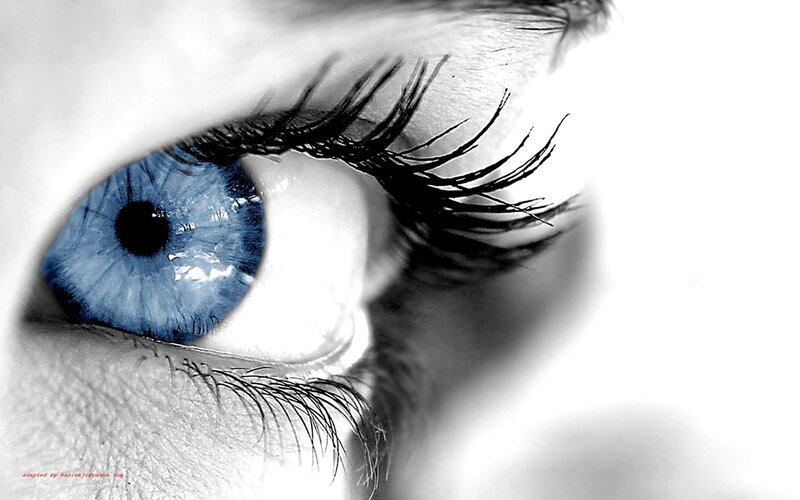 Blue Eye Close-up — Dramatic, Photograph, Eyelash, Skin