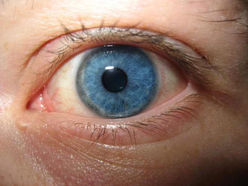 Blue Eye Close-up — Neutral, Photograph, Eyelashes