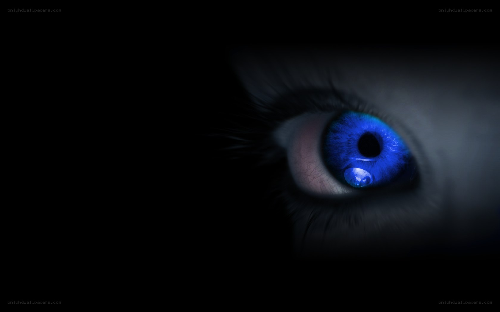 blue eye in darkness