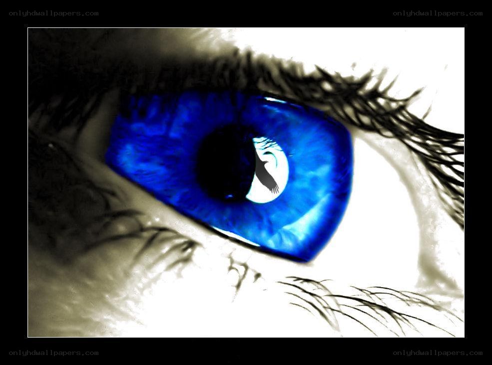blue eye with bird reflection