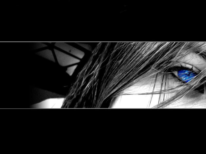 blue eye with black and white hair