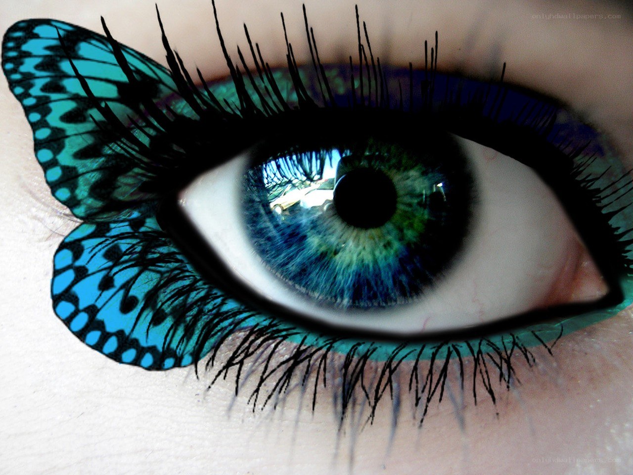 blue eye with butterfly wing