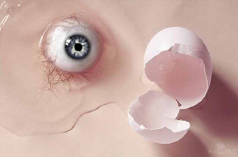 Blue Eye with Cracked Egg