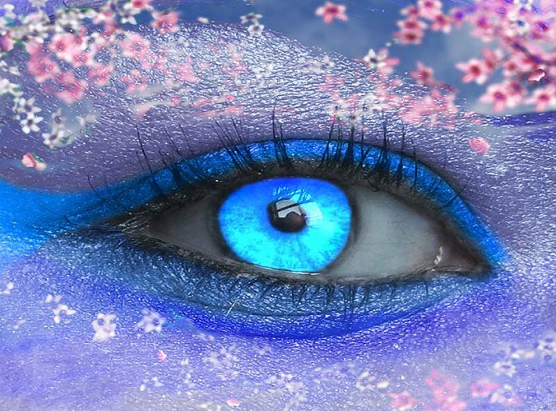 blue eye with floral makeup
