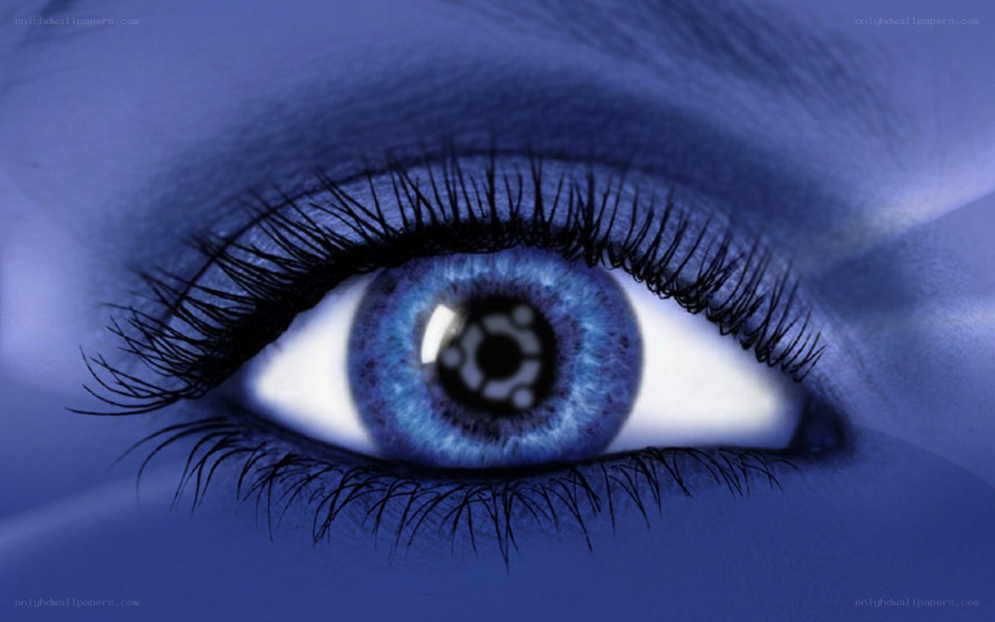 blue eye with logo