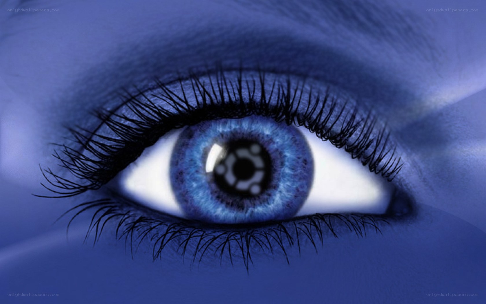 blue eye with logo