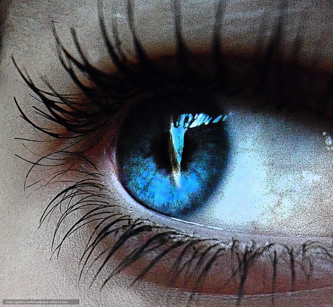 blue eye with long lashes
