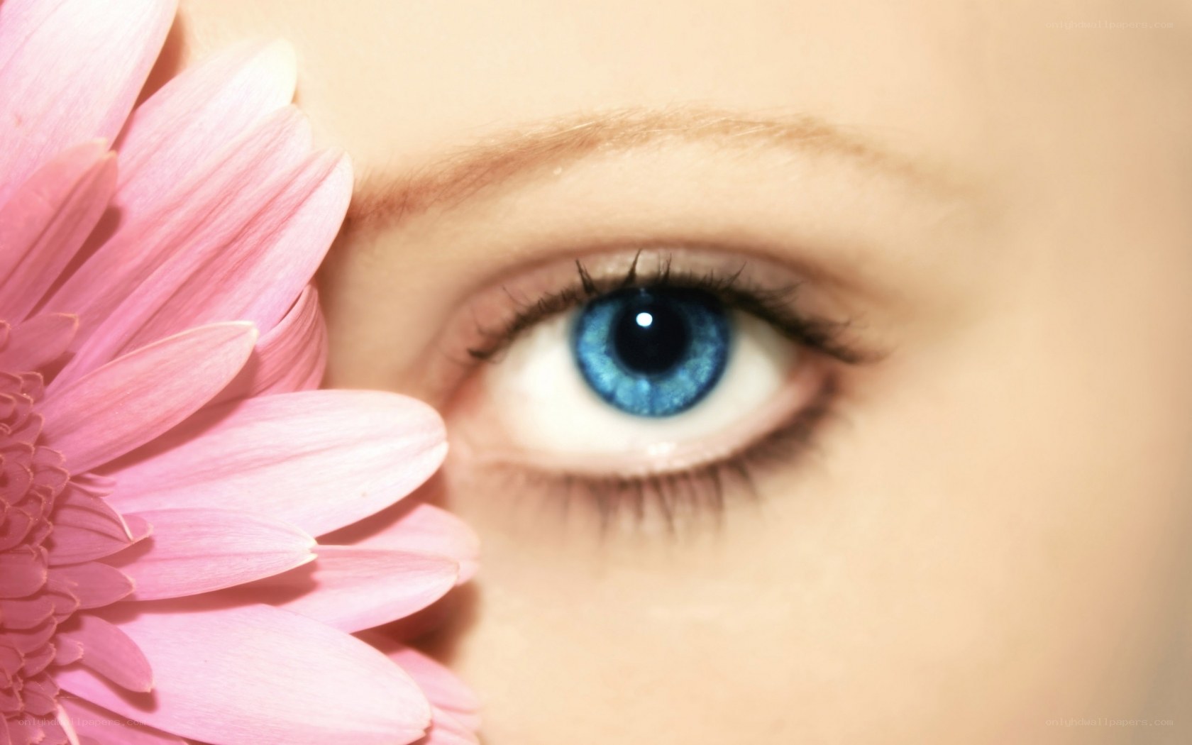 blue eye with pink flower