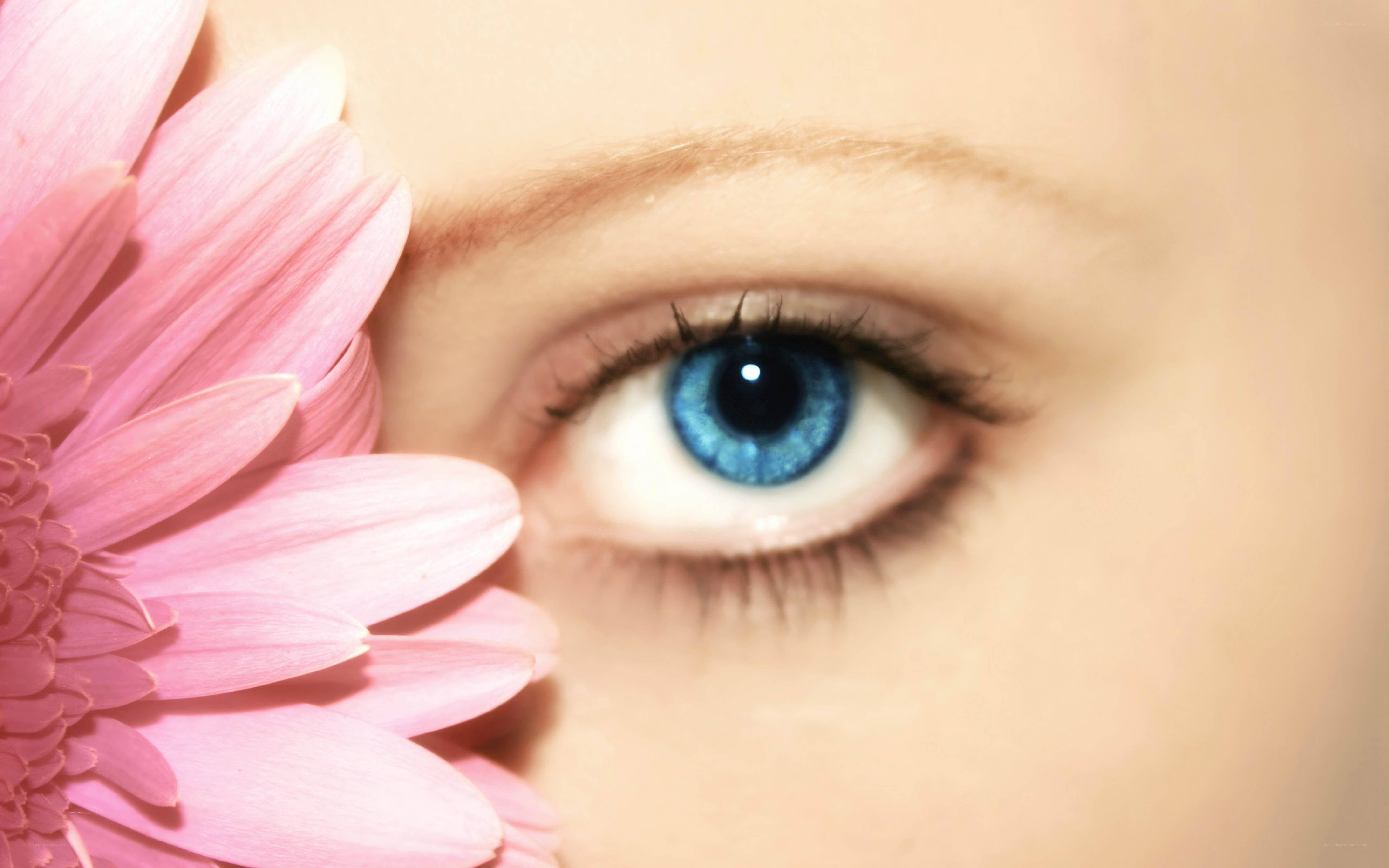 blue eye with pink flower
