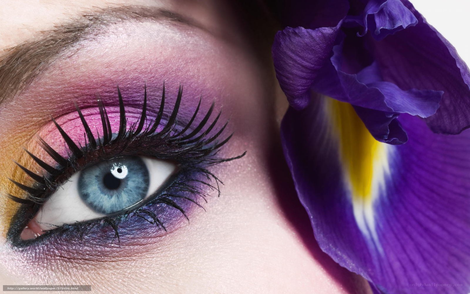 blue eye with purple makeup