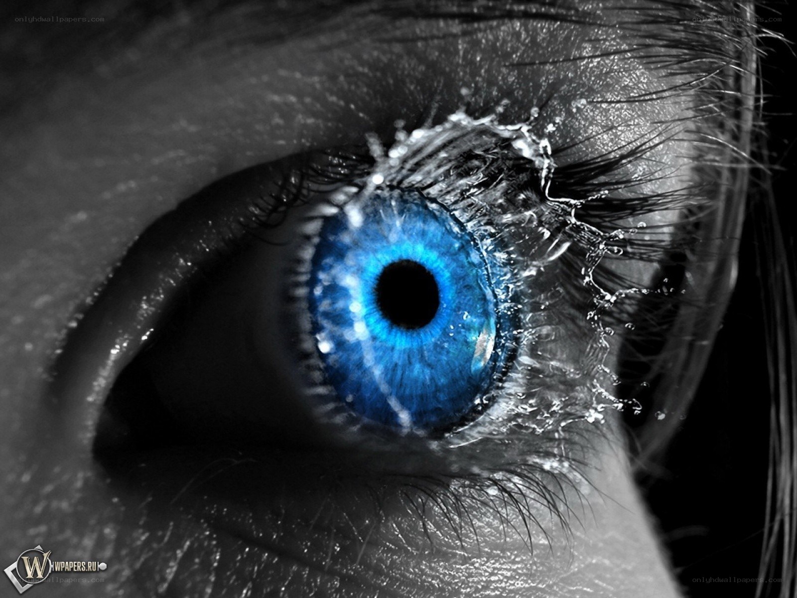 blue eye with water splash