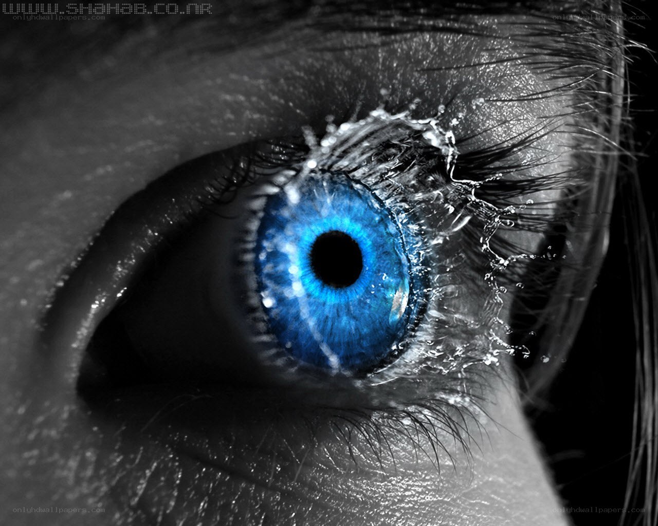 blue eye with water splash