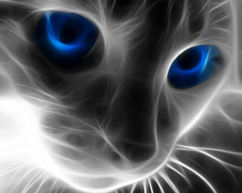 blue-eyed cat fractal art