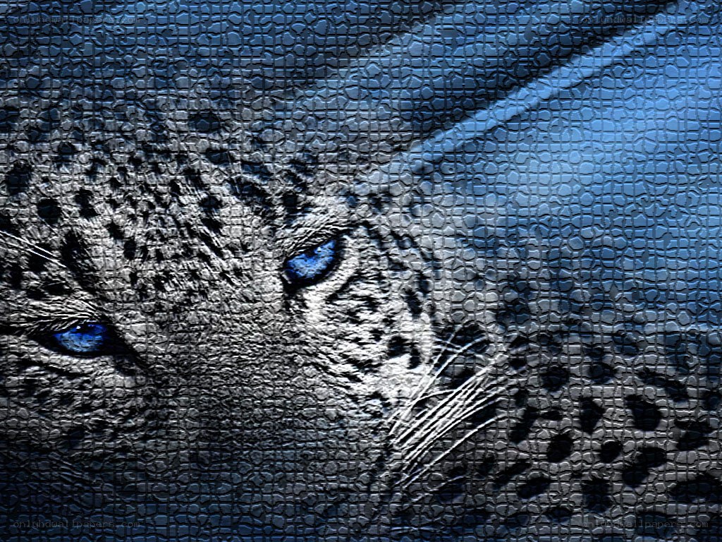 blue-eyed leopard mosaic