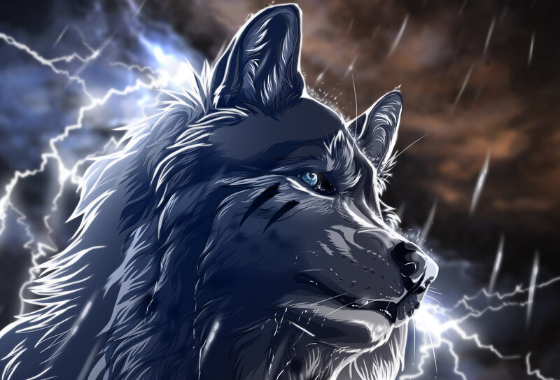 Blue-eyed Wolf in Storm — Blue