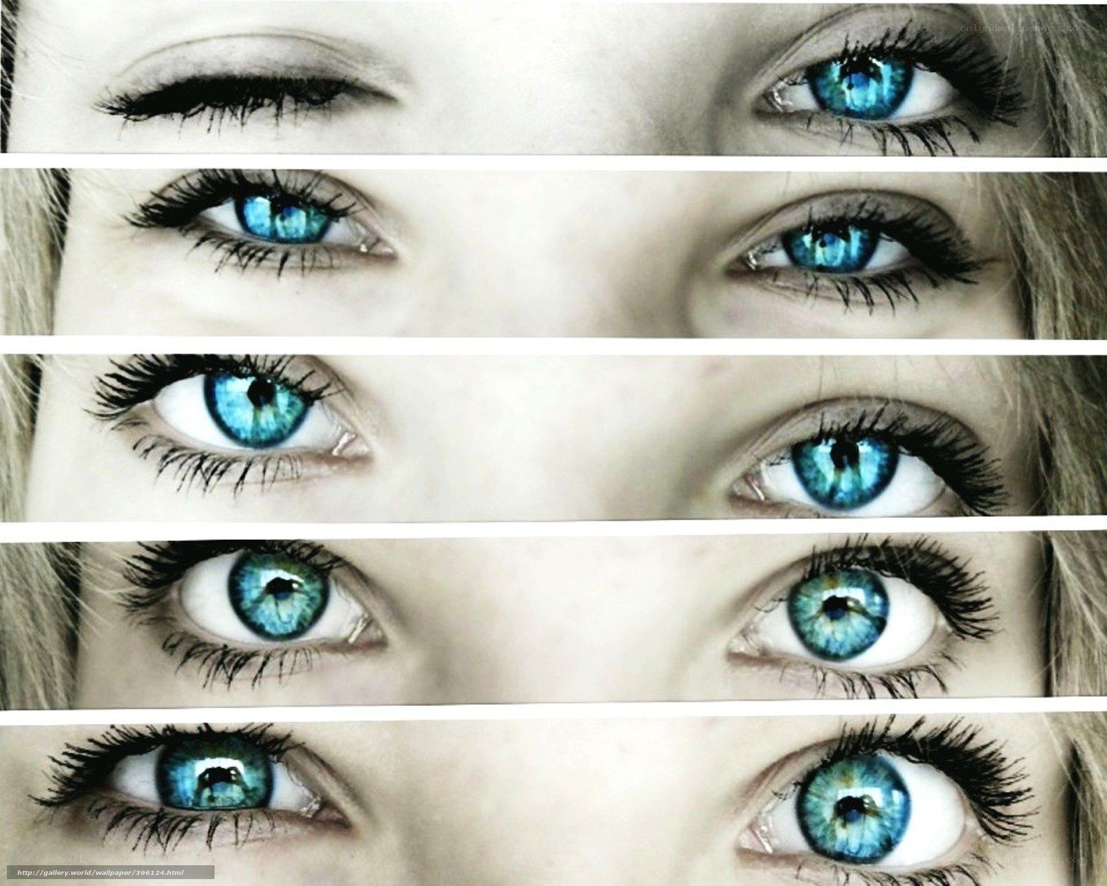 blue eyes collage