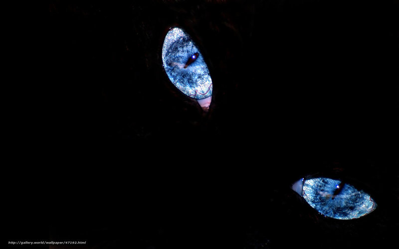 blue eyes in the dark