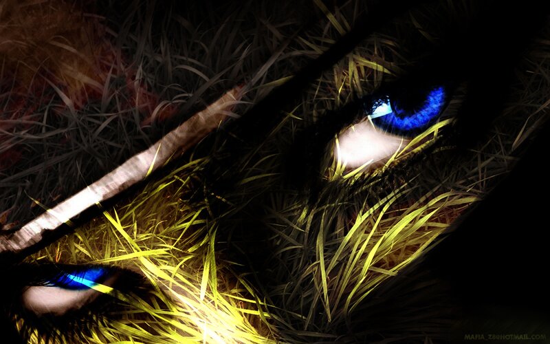 blue eyes in the grass
