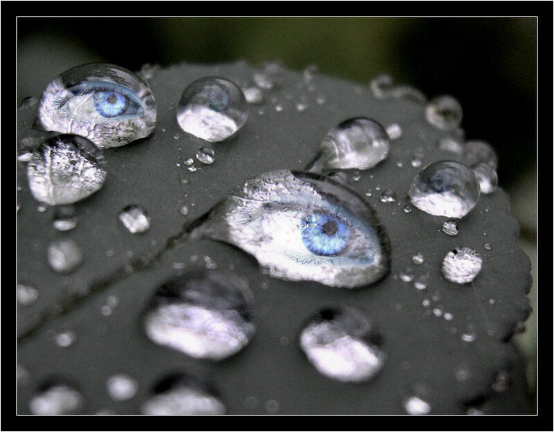 Blue Eyes in Water Droplets