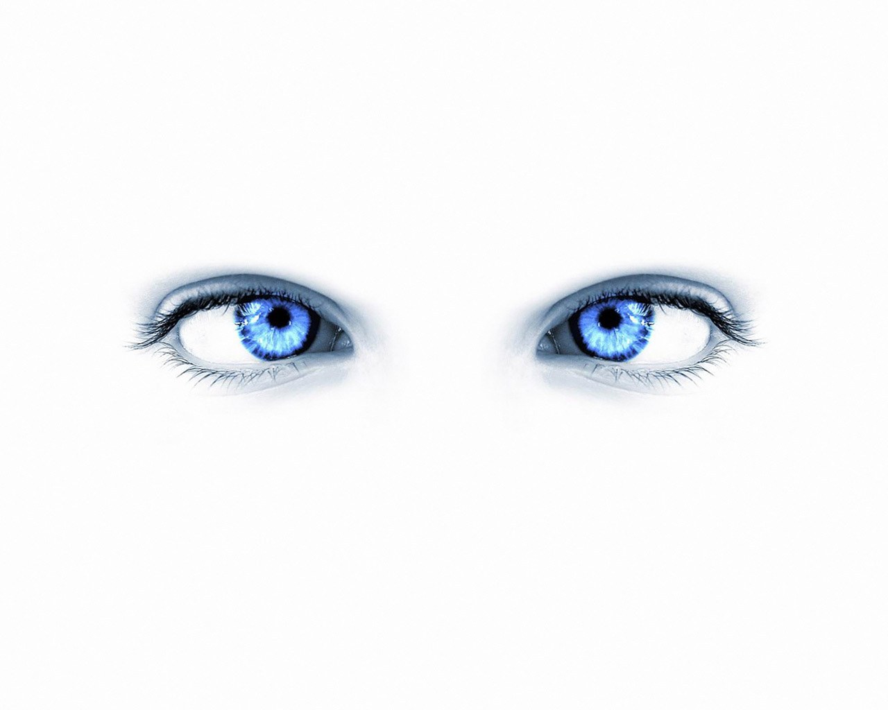 blue eyes on white background