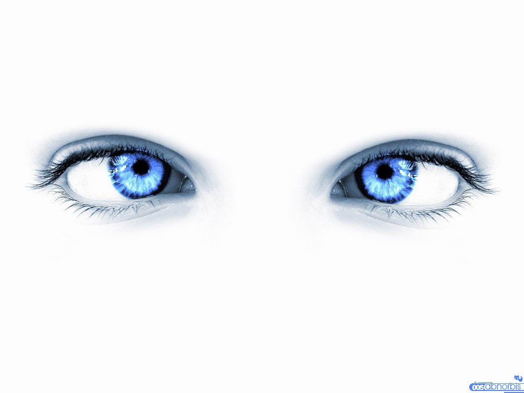blue eyes on white background
