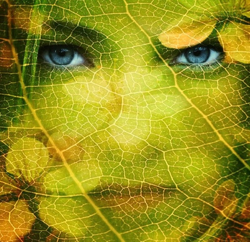 Blue Eyes under Leaf