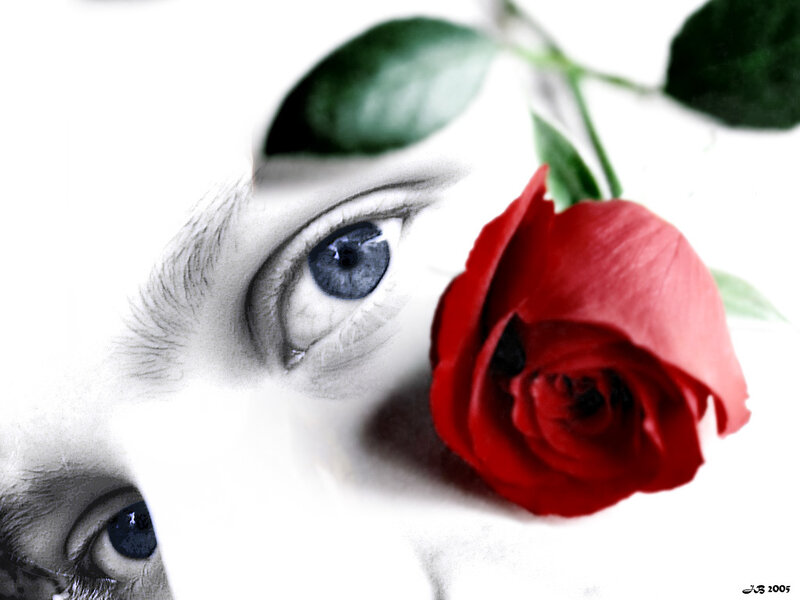 Blue eyes with red rose