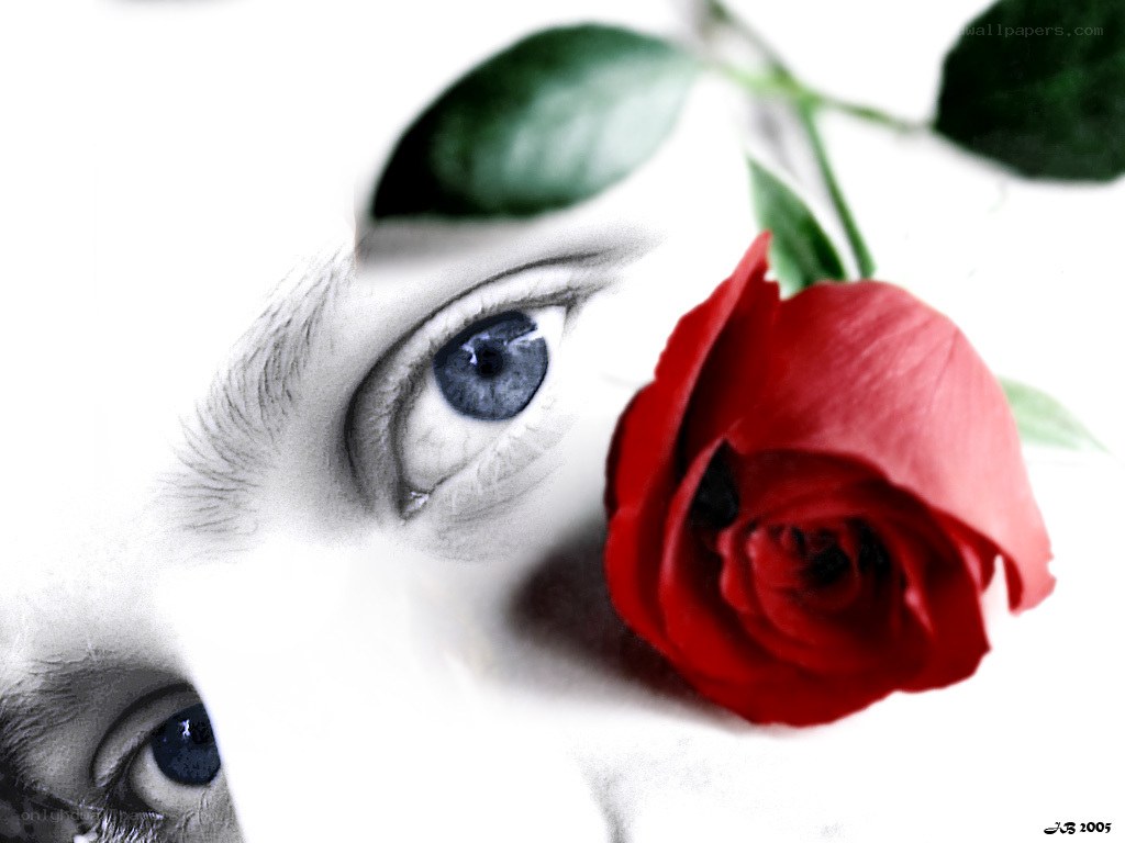 Blue eyes with red rose