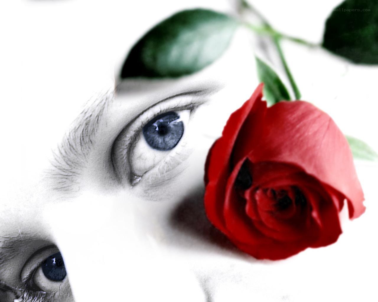 Blue eyes with red rose