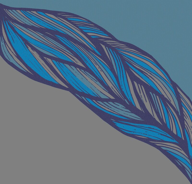 Blue Feather Illustration