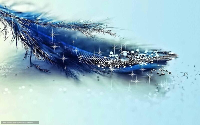 Blue feather with sparkles