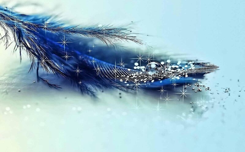 Blue Feather with Water Droplets — Serene