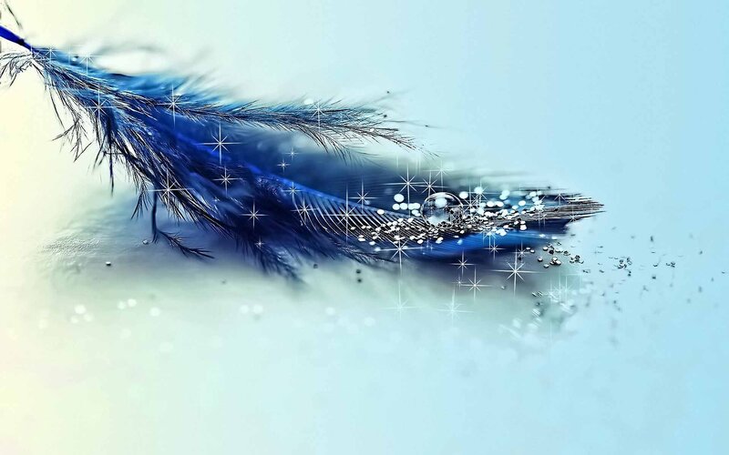 Blue Feather with Water Droplets