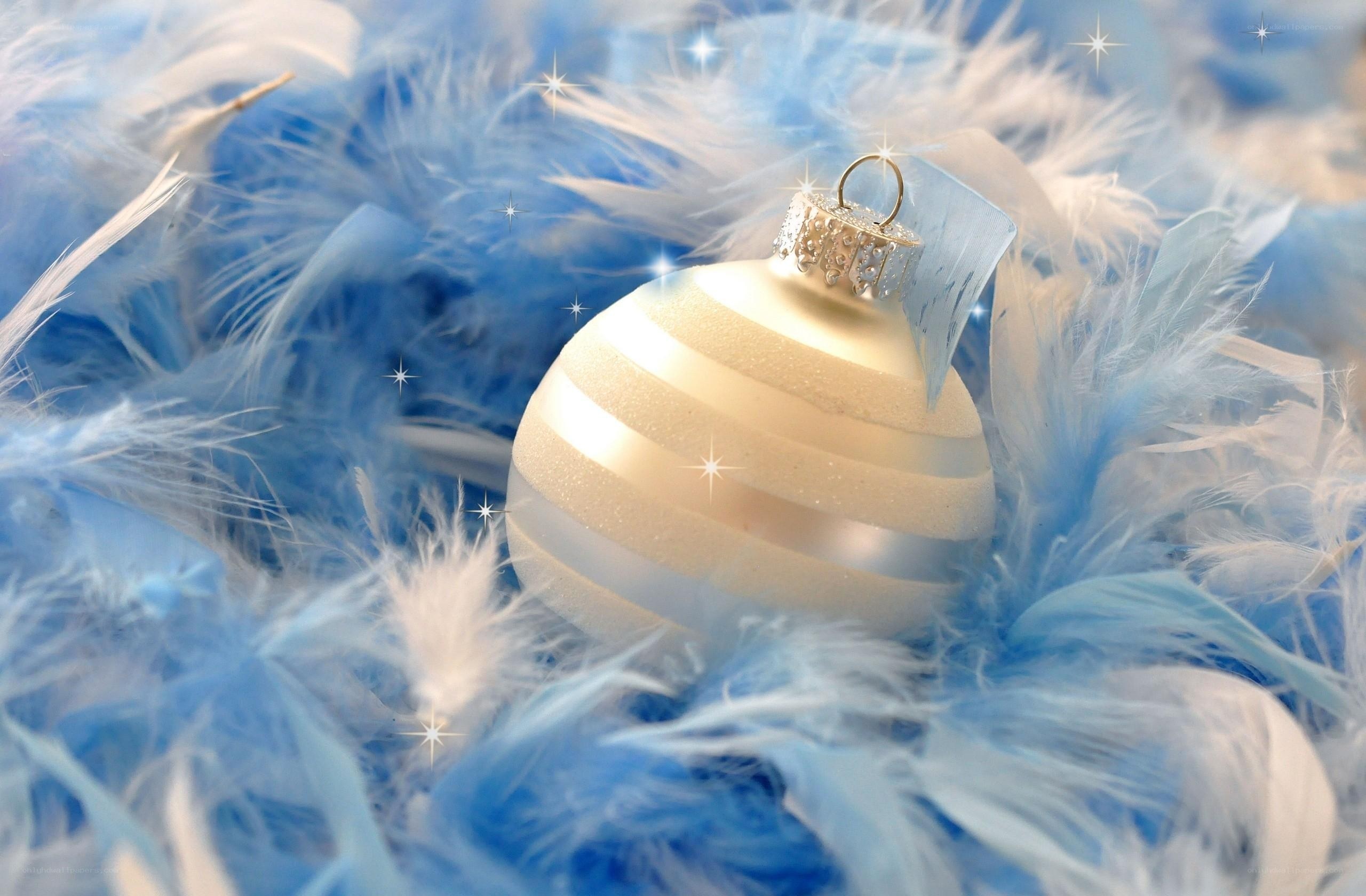 Blue feathers with ornament