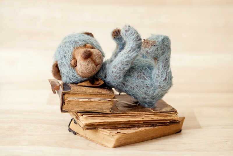 Blue Felt Bear on Books