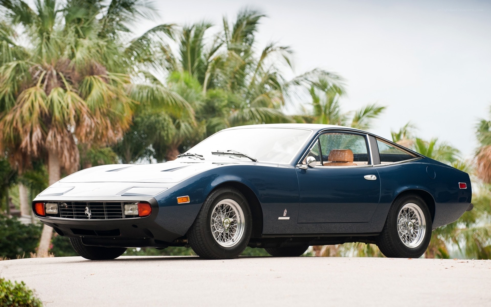 Blue Ferrari 365 GTB/4