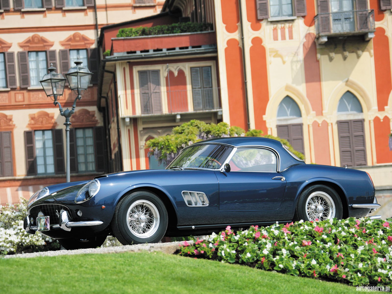 Blue Ferrari in a garden