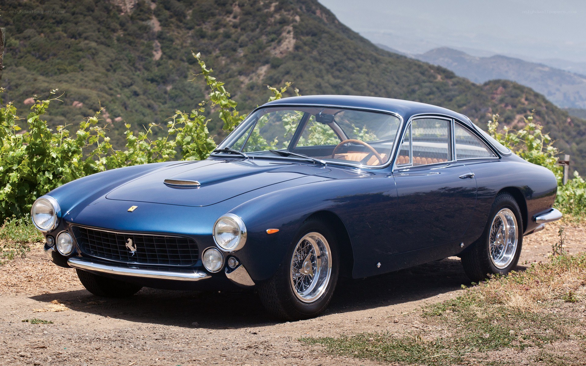 Blue Ferrari in a vineyard